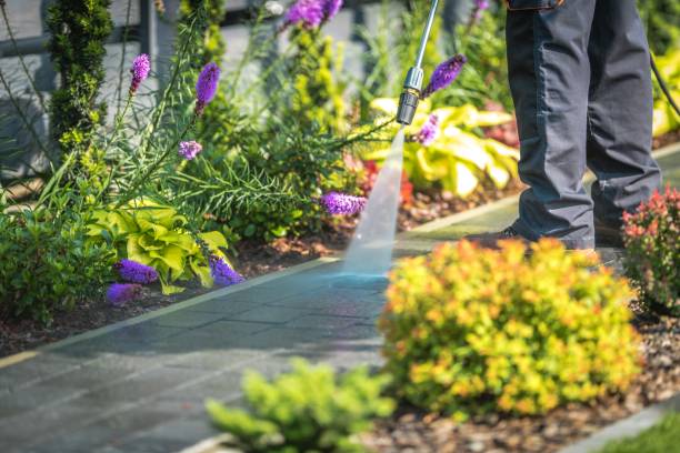 Best Sidewalk and Walkway Cleaning  in Stanhope, NJ