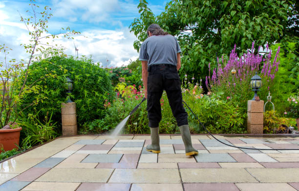 Best Animal Enclosure Cleaning  in Stanhope, NJ